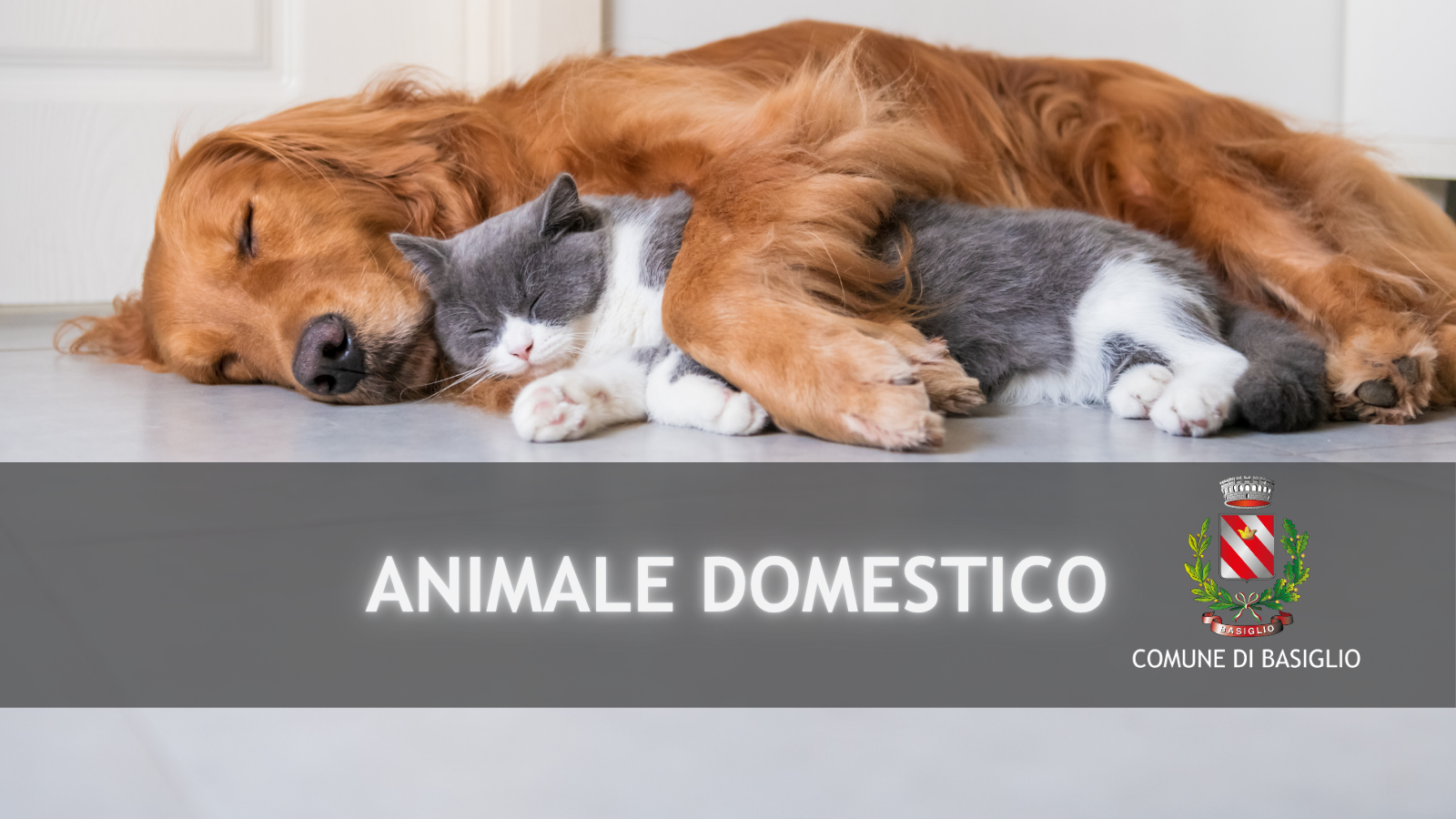 Animale domestico