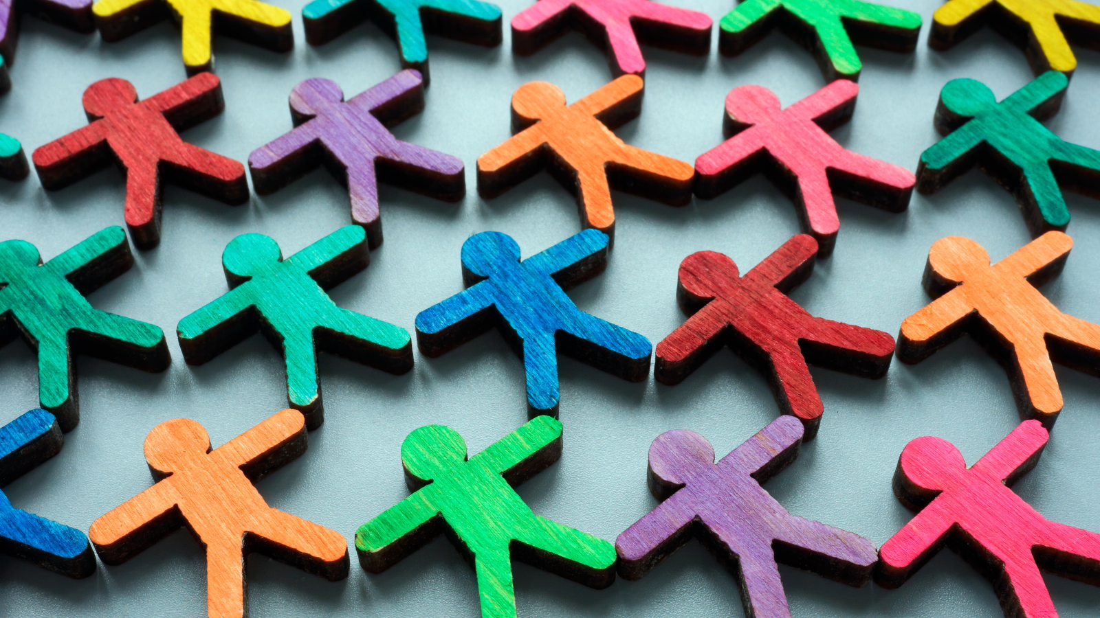 Integrazione sociale