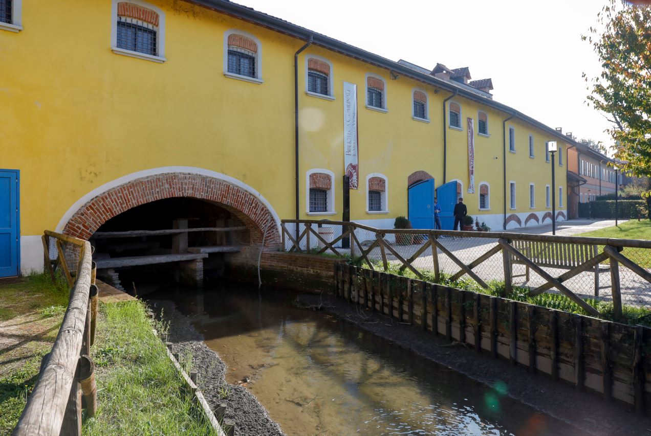 Biblioteca Il Mulino di Vione